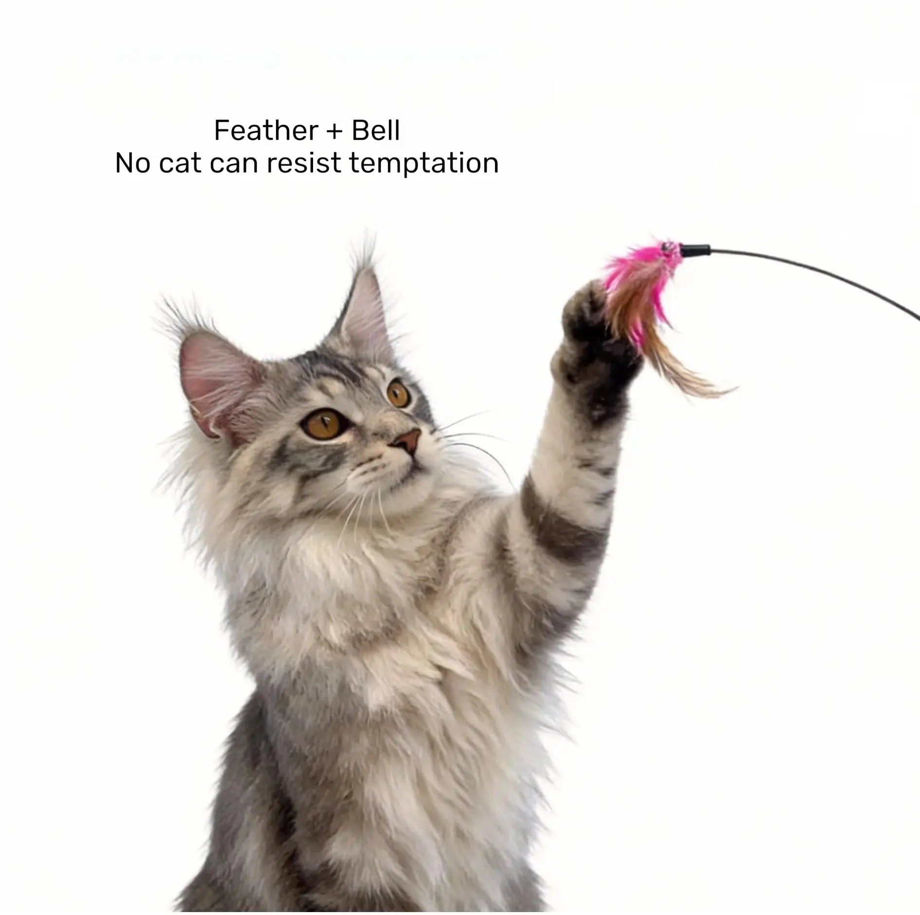 Head-Mounted Cat Teaser Wand with Adjustable Wrist Strap for Interactive Play