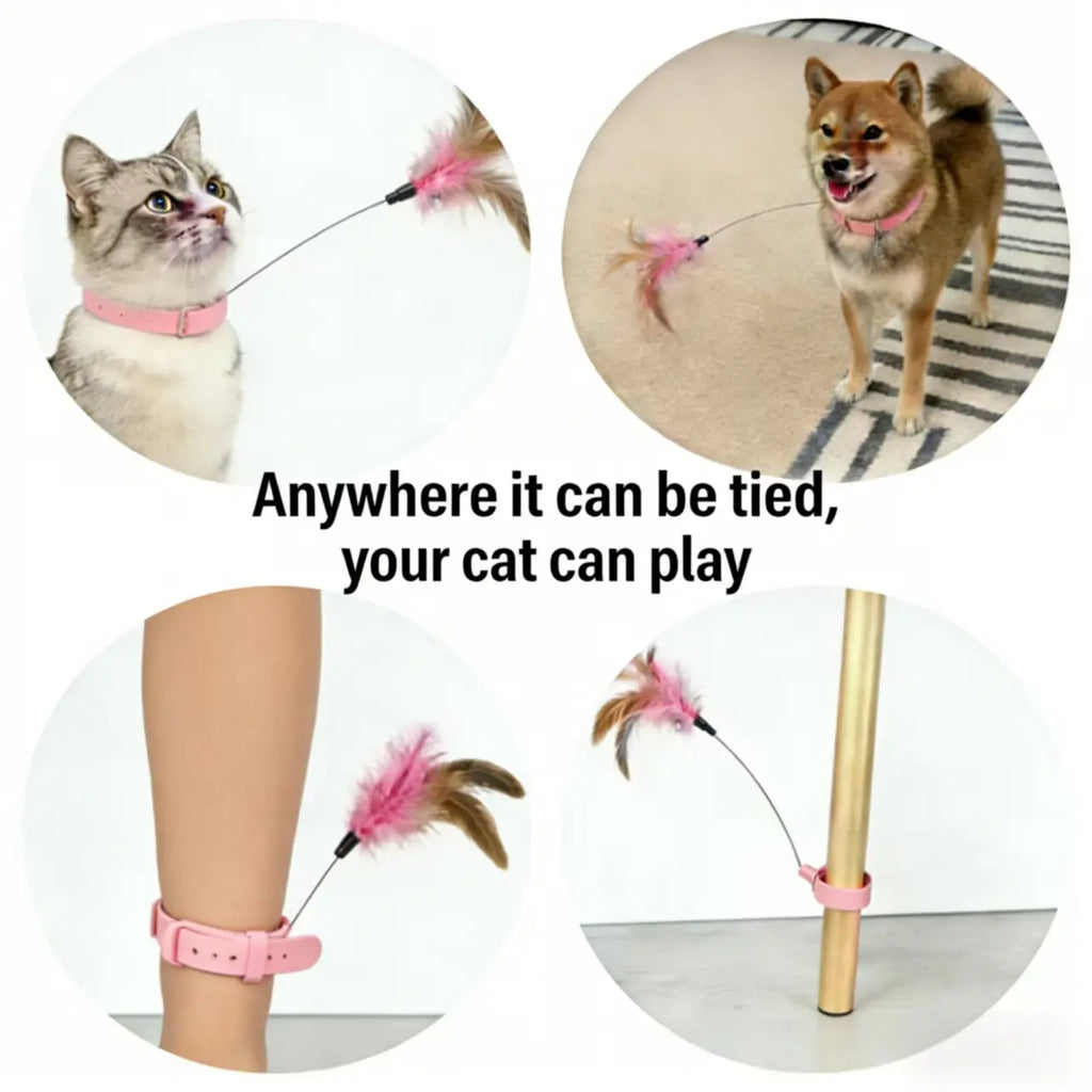 Flapping Interactive Hanging Cat Toy Collar Necklace Feather Teaser Toy Chase Catch Jump Kitten Dog Neck Wand Training Toy Gym Physical Exercise Hunting Skill Durable Adjustable Silicone Collar Pet Play