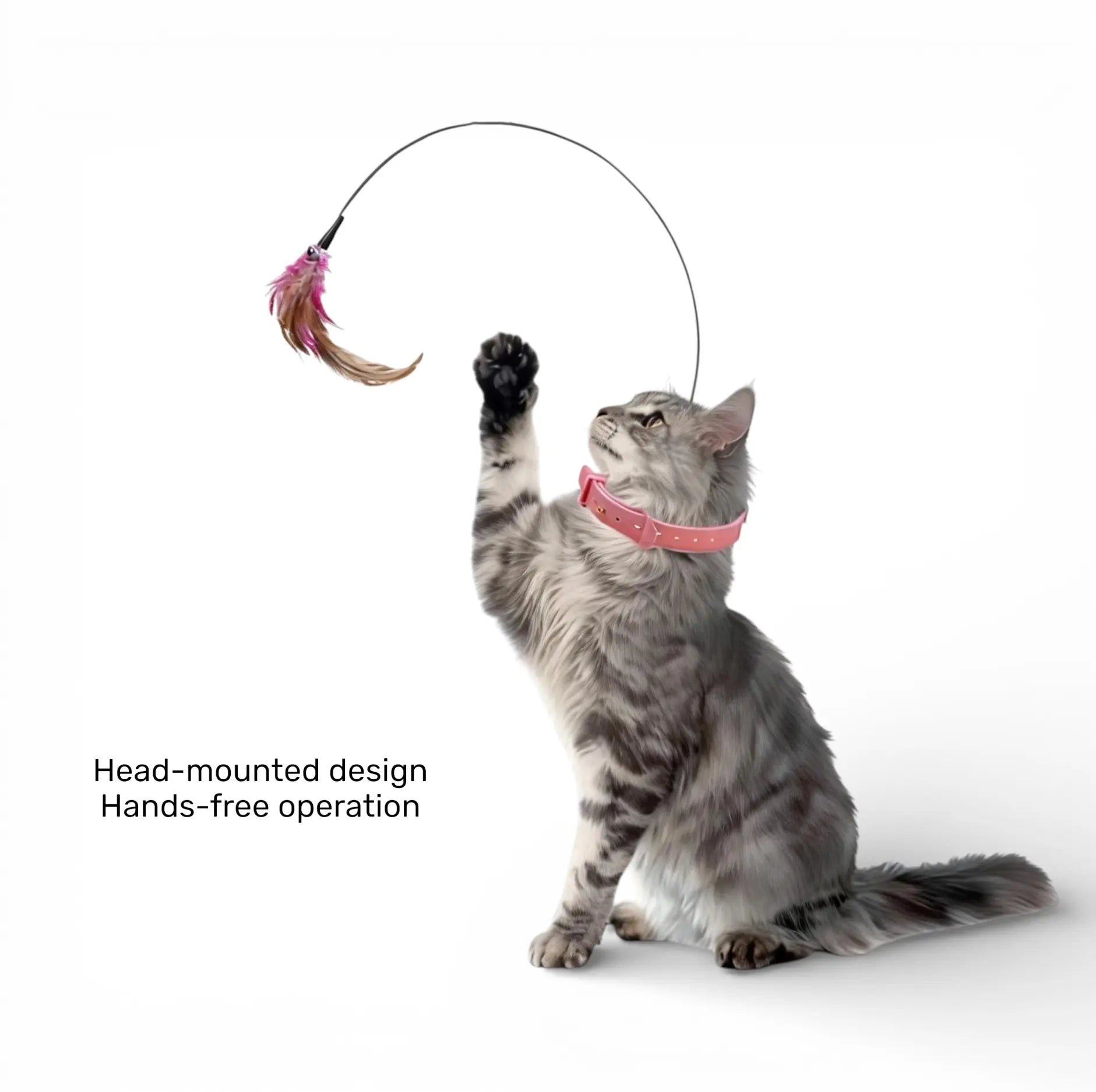 Head-Mounted Cat Teaser Wand with Adjustable Wrist Strap for Interactive Play