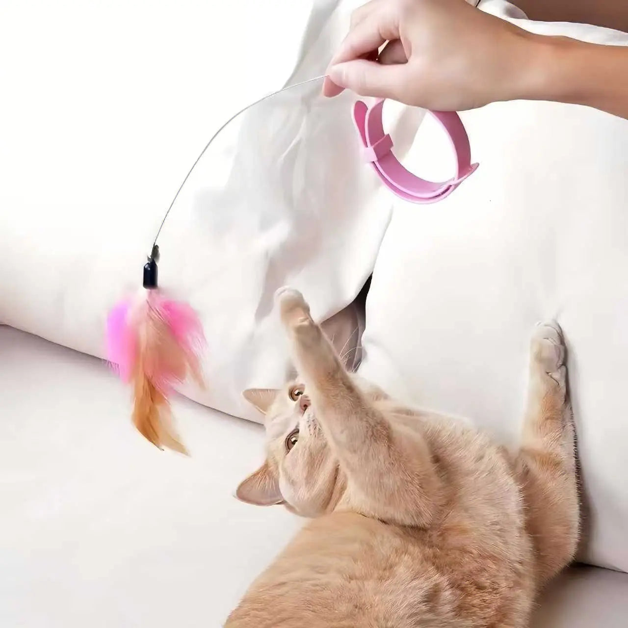Flapping Interactive Hanging Cat Toy Collar Necklace Feather Teaser Toy Chase Catch Jump Kitten Dog Neck Wand Training Toy Gym Physical Exercise Hunting Skill Durable Adjustable Silicone Collar Pet Play