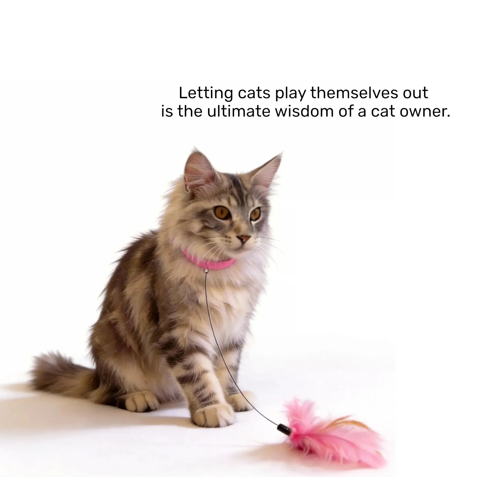 Head-Mounted Cat Teaser Wand with Adjustable Wrist Strap for Interactive Play